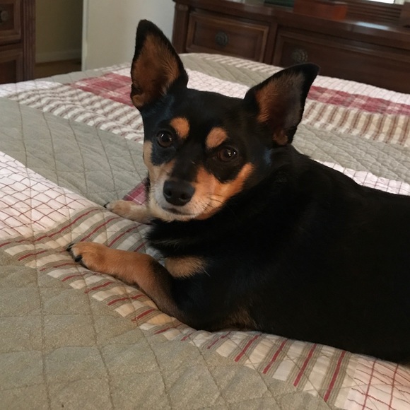 Meet your Posher, Colleen - Picture 11 of 14